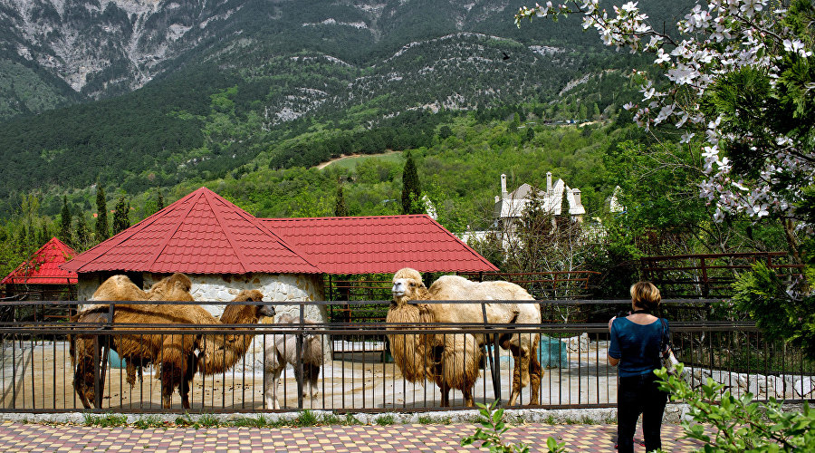 Skazka Yalta Zoo
