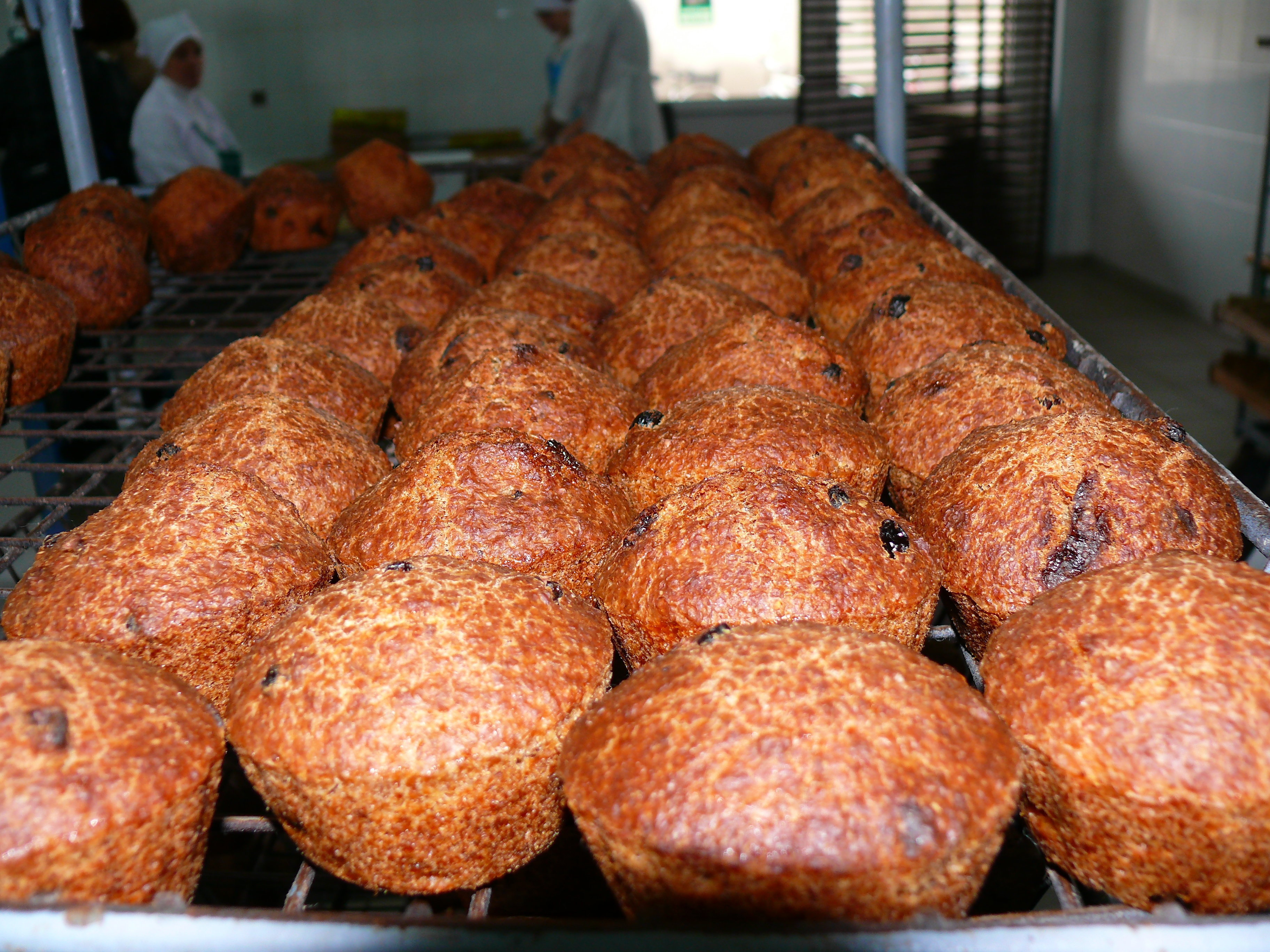 Baking enterprise &amp;quot;Eco-bread&amp;quot;