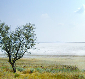 Lake Sivash