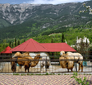Skazka Yalta Zoo