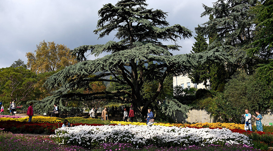 Nikitsky Botanical Gardens