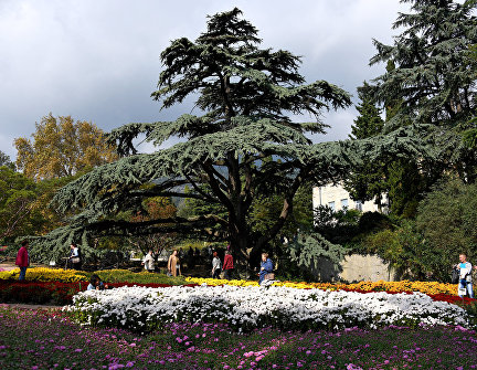 Nikitsky Botanical Gardens