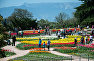 Visitors on the first day of the Tulip Parade, an exhibition at the Nikitsky Botanical Garden, Crimea