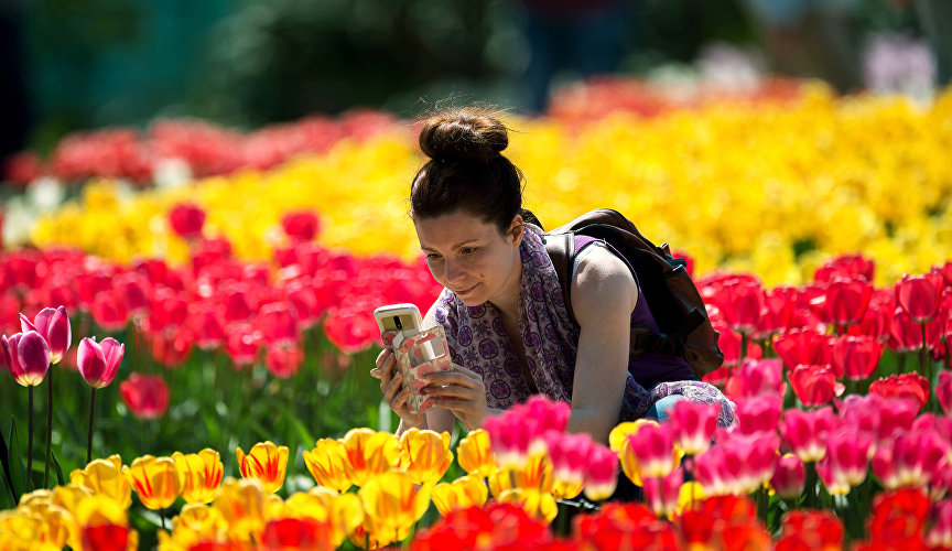 A woman taking photos of flowers on the first day of the Tulip Parade, an exhibition at the Nikitsky Botanical Garden, Crimea