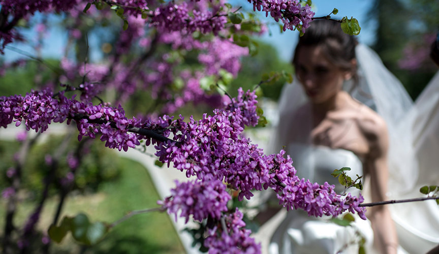 Bride in a garden with blossoming trees, Sevastopol