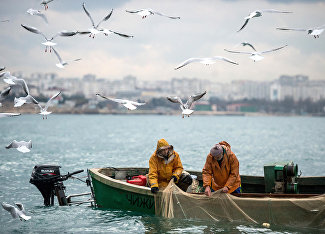 Crimea: Fishing for sea gold with a camera