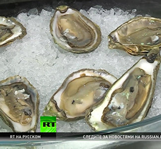 Oysters production gaining momentum in Crimea – RT
