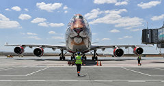 A plane from Vladivostok landed in Simferopol