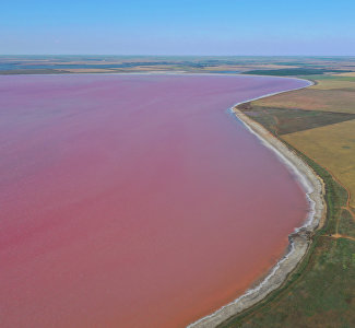 Both healing and beautiful: the pink Lake Sasyk-Sivash in the photos