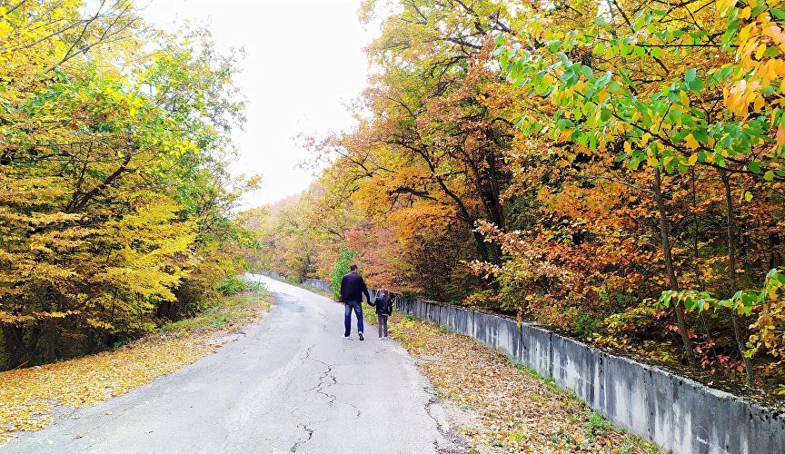 Walk along the autumn road in Crimea