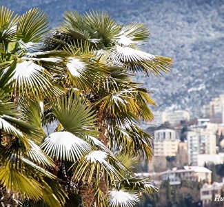 Crimea entered the TOP of popular regions for winter recreation