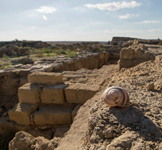 Artezian settlement – archeological site