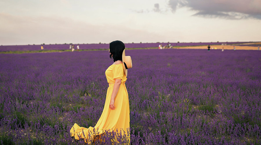 Girl on a lavender field in Crimea