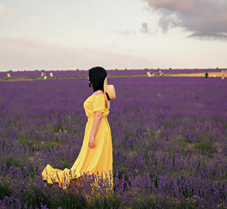 Crimean Provence: fields are being adapted for tourists