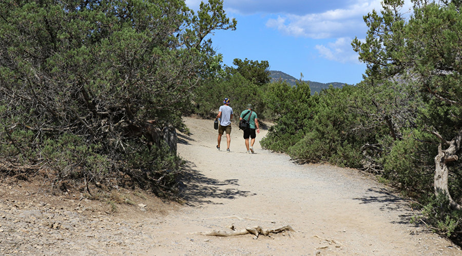 Tourists in Juniper Grove