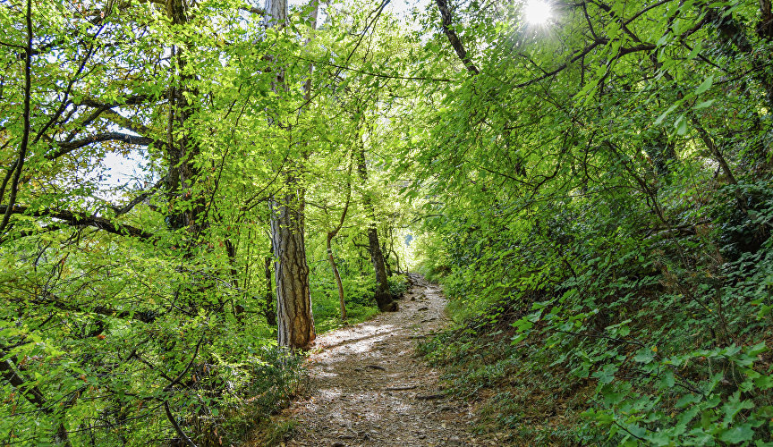 Botkinskaya trail