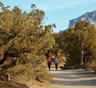 Minister of Resorts and Tourism: Crimea is open for tourists who have taken care of their safe vacation