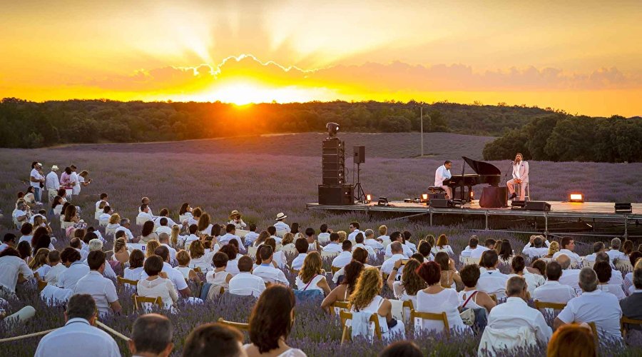 Concert in lavender fields
