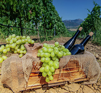 Enogastronomical guide 2022: new wines and tourist sites − what Crimean wineries offer tourists