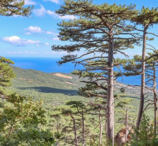 Pristine beauty and breathtaking views: a photo walk along the Koreïz trail
