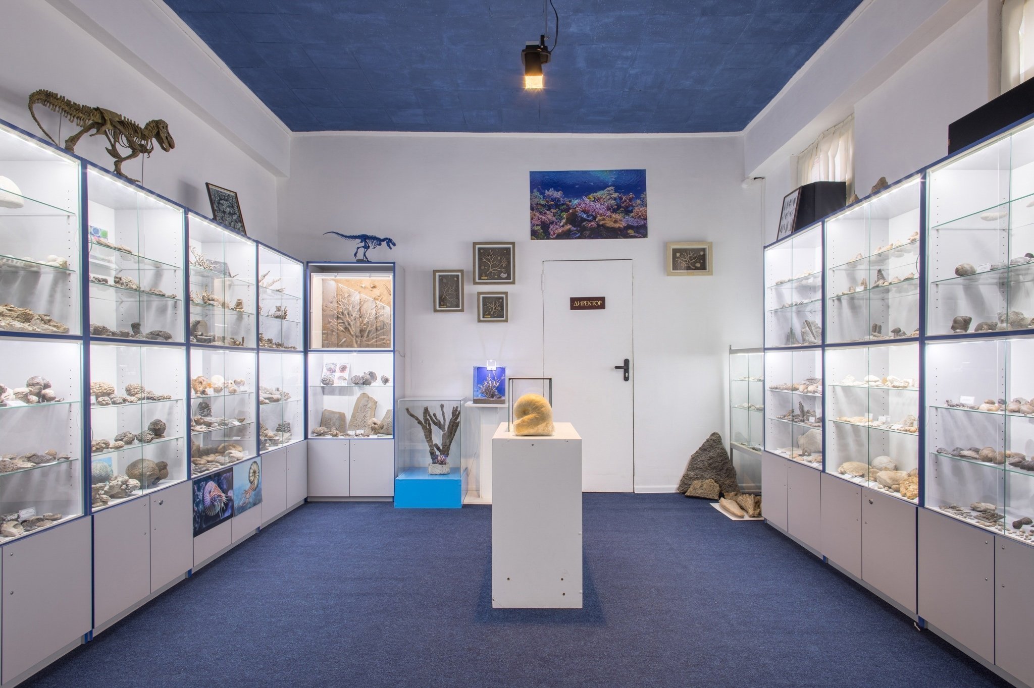 Paleontological Museum of V. Verbitsky in Livadia