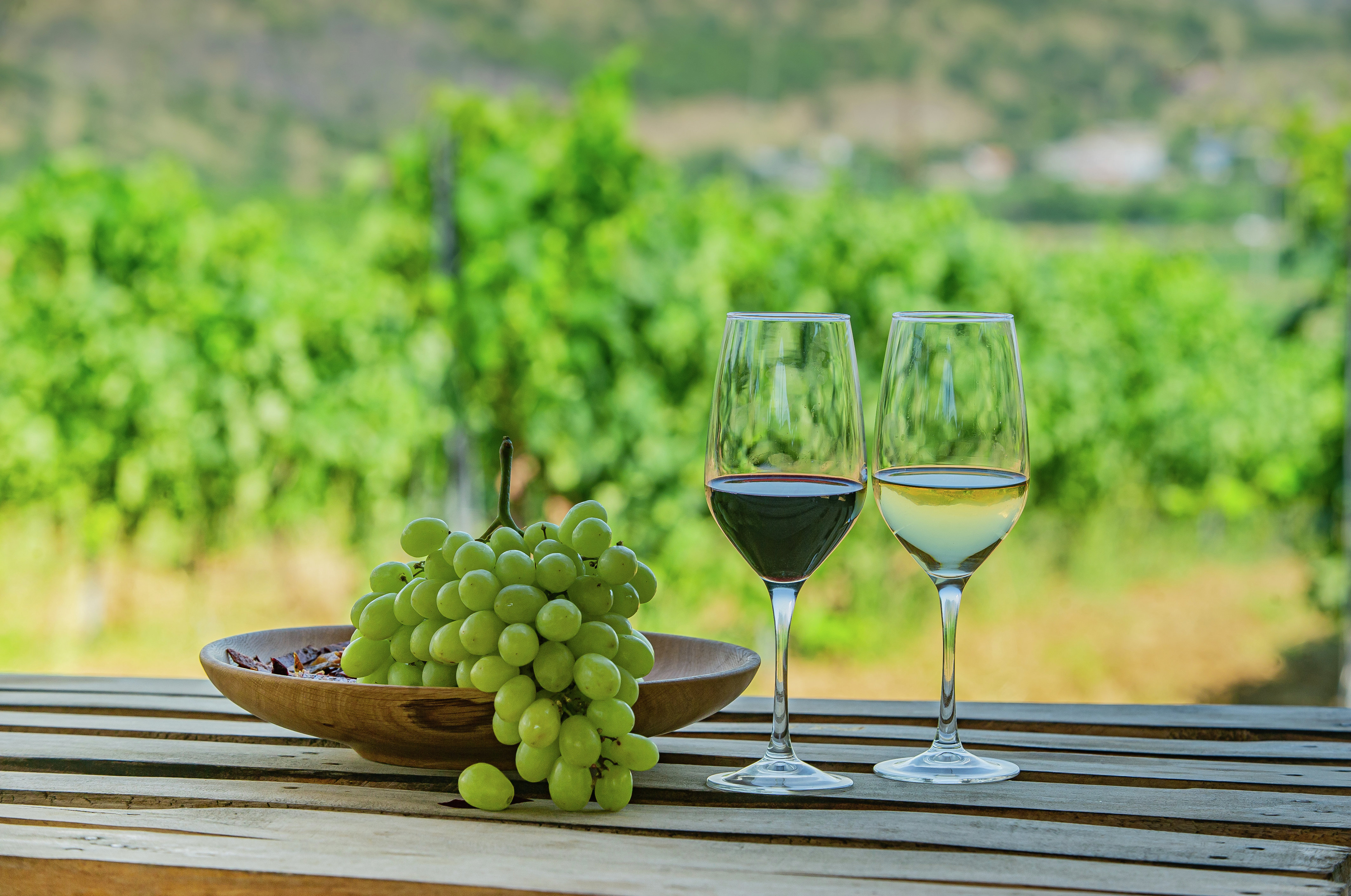 Grapes and glasses of wine