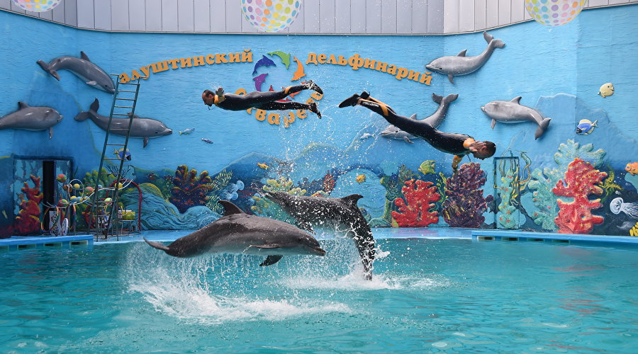 Aquarel Dolphinarium