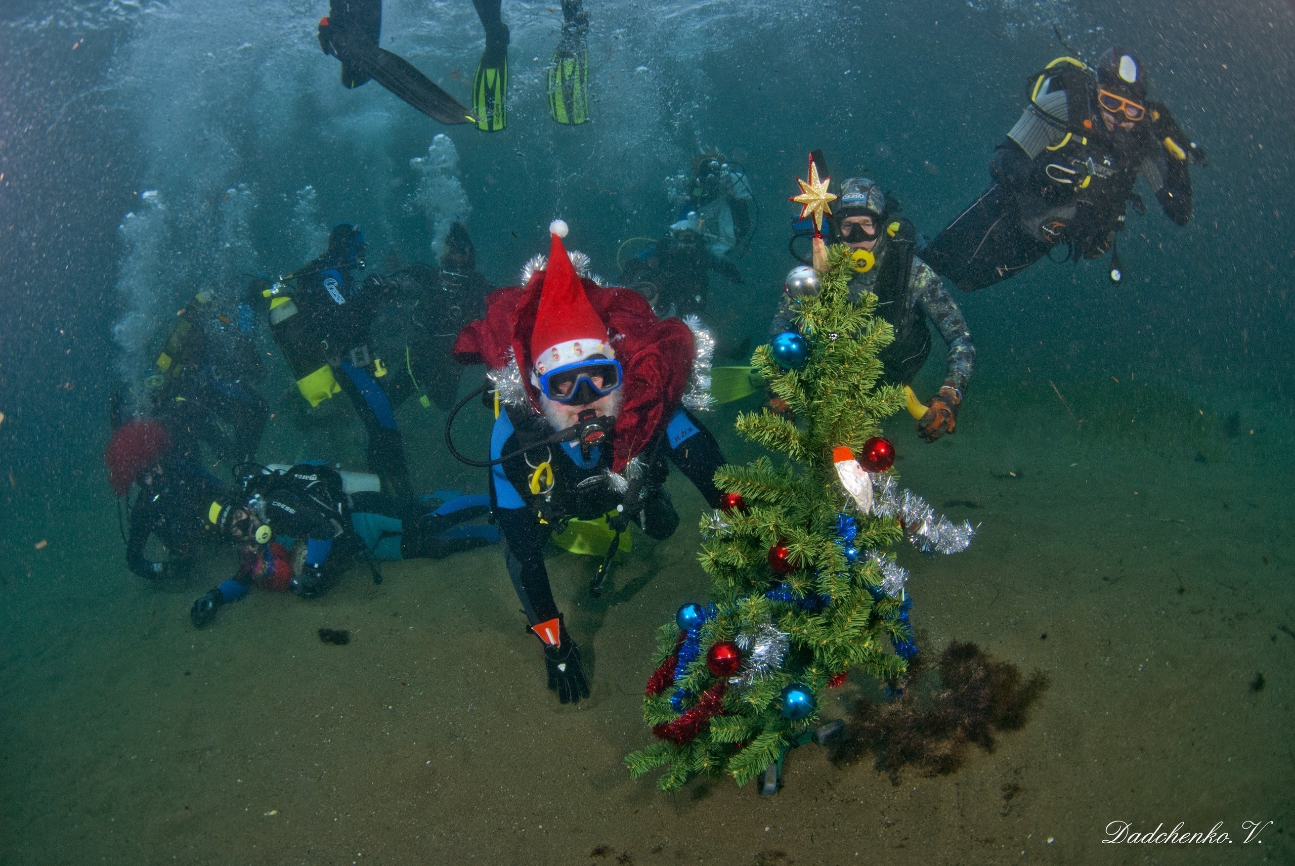 Christmas tree under water